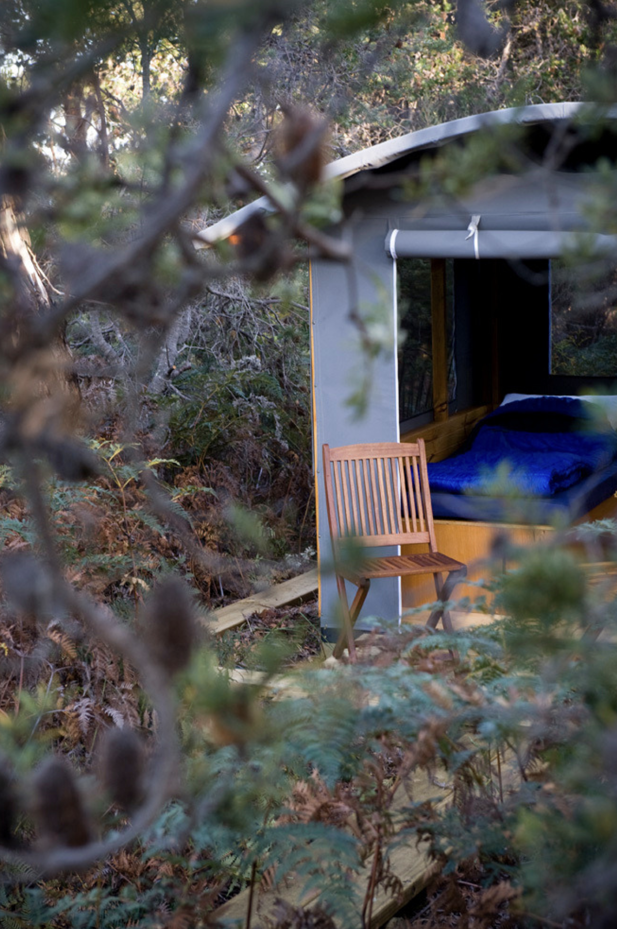 Casuarina Camp reading spot maria island walk tasmania