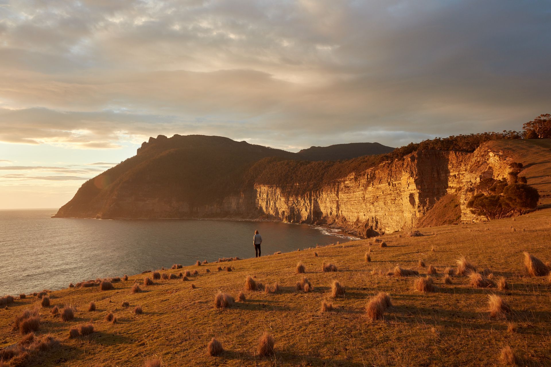 Celebrating 20 years of The Maria Island Walk